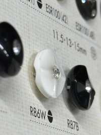 R86W Boutons En Résine Polyester Sous-photo