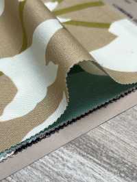 W8084 SEVENBERRY® Oxford Large Width Lily[Fabrication De Textile] VANCET Sous-photo