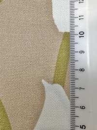 W8084 SEVENBERRY® Oxford Large Width Lily[Fabrication De Textile] VANCET Sous-photo