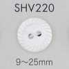 SHV220 Bouton en coquillage à 2 trous