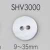 SHV3000 Bouton en coquillage à 2 trous