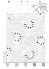 7025-210-1 50 Broderies En Tissu De Coton