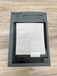 1078421 ALBINI SEA ISLAND COTON Point Mousse[Fabrication De Textile] TAKISADA NAGOYA Sous-photo