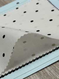 ST21-10630-1 Coton Biologique 60 % Gazon[Fabrication De Textile] HOKKOH Sous-photo