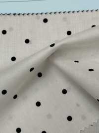 ST21-10630-1 Coton Biologique 60 % Gazon[Fabrication De Textile] HOKKOH Sous-photo