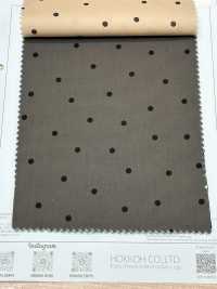 ST21-10630-1 Coton Biologique 60 % Gazon[Fabrication De Textile] HOKKOH Sous-photo