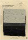 AN-9298 Kersey En Coton Et Laine De Couleur Nep