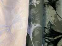KF4005-DF-3407 Flocage Dégradé En Organdi Crémeux[Fabrication De Textile] Uni Textile(Atelier Komon) Sous-photo