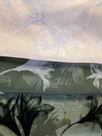 KF4005-DF-3407 Flocage Dégradé En Organza Crémeux[Fabrication De Textile] Uni Textile(Atelier Komon) Sous-photo