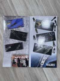 ASH-SAMPLE Carte De Couleurs WALDES[Carte D