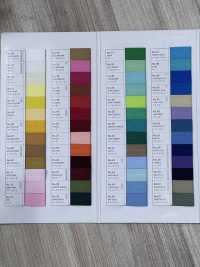 ASH-SAMPLE Carte De Couleurs WALDES[Carte D