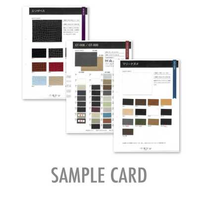 GINGA carte d'échantillons