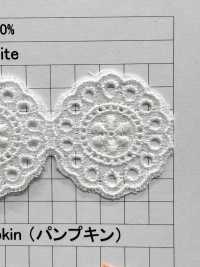 23660 Dentelle Chimique étroite Kyowa Lace Sous-photo
