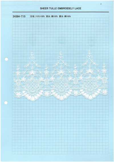 24384-T15 Dentelle brodée en tulle transparent