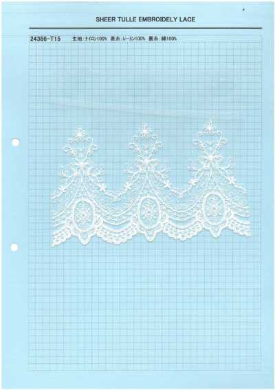 24386-T15 Dentelle brodée en tulle transparent