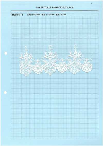 24389-T15 Dentelle brodée en tulle transparent