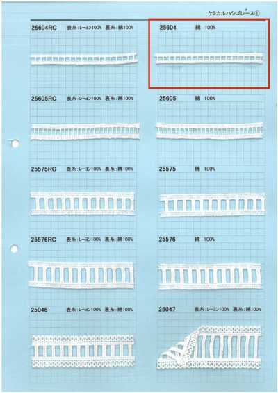 25604 Dentelle chimique à échelle
