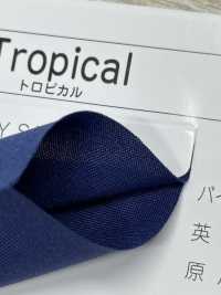 7100-R 7100 Boucle Tropicale Sans Noyau[Ruban Ruban Cordon] MARQUE STAR (Hoshika) Sous-photo