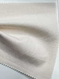 SPM-6020-KBW Supima 80/2// Gabardine[Fabrication De Textile] TIPICO (Tissus Kuwamura) Sous-photo