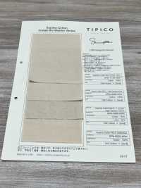 SPM-6020-KBW Supima 80/2// Gabardine[Fabrication De Textile] TIPICO (Tissus Kuwamura) Sous-photo