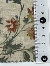 7025-1700-1 CL Loomstate[Fabrication De Textile] HOKKOH Sous-photo