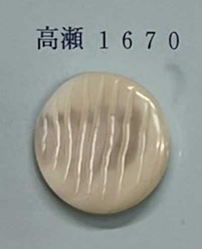 1670 Bouton en coquille Takase sans bord
