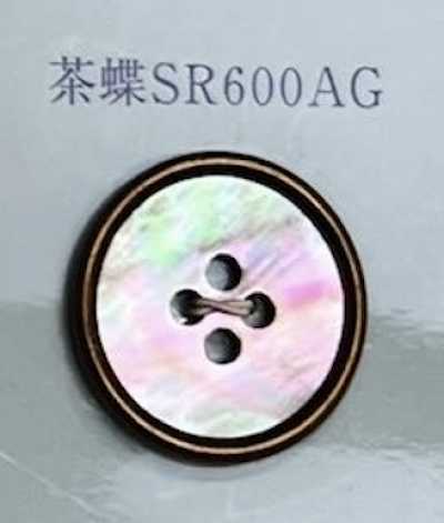 SR600AG Bouton en coquille marron à 4 trous avec bord