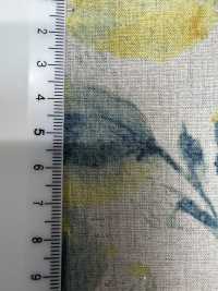 7025-1700-2 CL Loomstate[Fabrication De Textile] HOKKOH Sous-photo