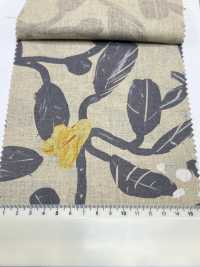 7025-1700-3 CL Loomstate[Fabrication De Textile] HOKKOH Sous-photo
