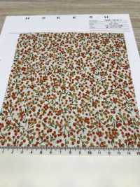 7025-1610-1 60 Motifs De Fruits Pour Pelouse[Fabrication De Textile] HOKKOH Sous-photo