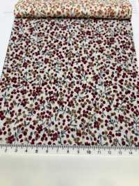 7025-1610-1 60 Motifs De Fruits Pour Pelouse[Fabrication De Textile] HOKKOH Sous-photo