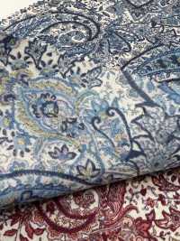 4025-1670-4 60 Pelouse Paisley[Fabrication De Textile] HOKKOH Sous-photo