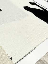 AP52101 Kuroneko Oxford (Rouleau Rond)[Fabrication De Textile] COSMO TEXTILE Sous-photo