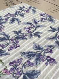 850505 SEVENBERRY® Pelouse Soleil Berry Stripe[Fabrication De Textile] VANCET Sous-photo