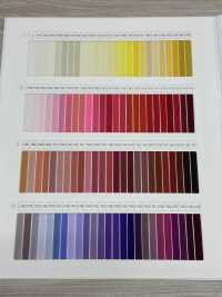 TWST-SAMPLE Carte D