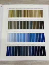 TWST-SAMPLE Carte D