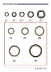 RING-3 Anneau plat