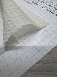 OS599 Tissu Extensible à Carreaux Transparents[Fabrication De Textile] SHIBAYA Sous-photo