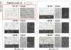 165028 Platinum Jacquard ~Chapitre 1~