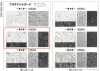 165029 Platinum Jacquard ~Chapitre 2~
