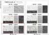 165030 Platinum Jacquard ~Chapitre 3~
