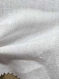 AD5182 Toile De Lin[Fabrication De Textile] COSMO TEXTILE Sous-photo
