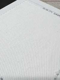AD29000 Katsuragiten[Fabrication De Textile] COSMO TEXTILE Sous-photo