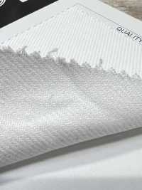 AD29000 Katsuragiten[Fabrication De Textile] COSMO TEXTILE Sous-photo