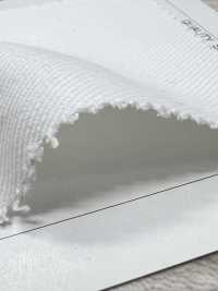 AD29000 Katsuragiten[Fabrication De Textile] COSMO TEXTILE Sous-photo
