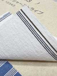 BC3543 Voile Stripe[Fabrication De Textile] COSMO TEXTILE Sous-photo