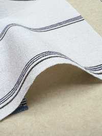 BC3543 Voile Stripe[Fabrication De Textile] COSMO TEXTILE Sous-photo