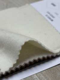 80660 SP100 Excellent Castor[Fabrication De Textile] Parika Sous-photo