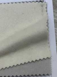 80660 SP100 Excellent Castor[Fabrication De Textile] Parika Sous-photo