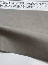 TP006 Grinza CDR[Fabrication De Textile] TOPRUN Sous-photo